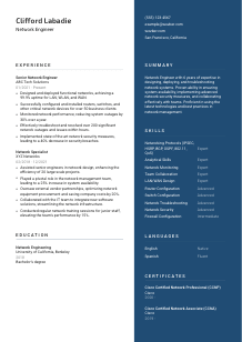 Network Engineer CV Template #15