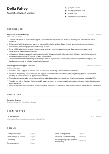 Application Support Manager Resume Example