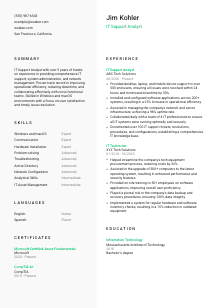 IT Support Analyst CV Template #14