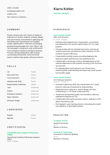 System Analyst Resume Template #2