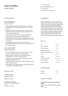 System Analyst Resume Template #1