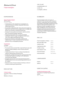 Fraud Investigator CV Template #11