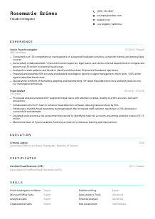 Fraud Investigator CV Template #18