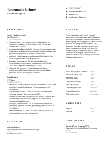 Fraud Investigator Resume Template #7