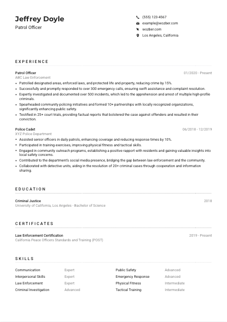 Patrol Officer CV Example