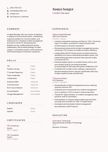 Incident Manager CV Template #20