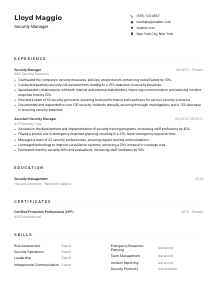 Security Manager CV Example