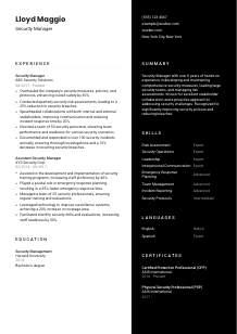 Security Manager Resume Template #17