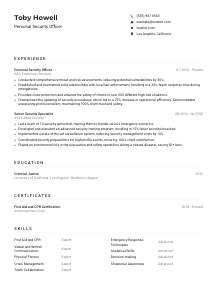 Personal Security Officer CV Example