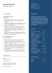 Bankruptcy Lawyer CV Template #15