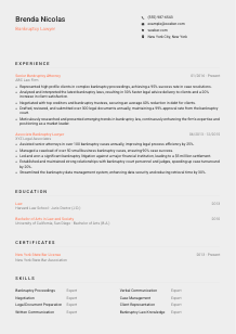 Bankruptcy Lawyer Resume Template #23