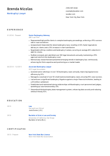 Bankruptcy Lawyer CV Template #8