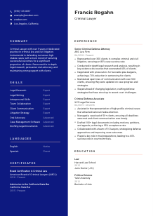 Criminal Lawyer CV Template #21