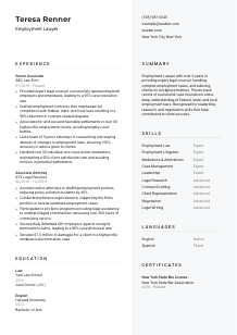Employment Lawyer Resume Template #12