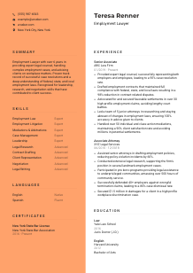 Employment Lawyer CV Template #19