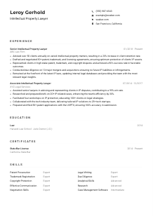 Intellectual Property Lawyer Resume Example