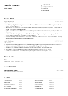 M&A Lawyer CV Example