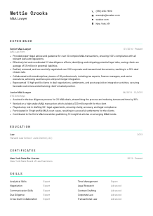 M&A Lawyer Resume Template #3