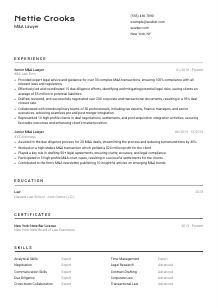 M&A Lawyer CV Template #2