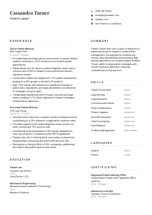 Patent Lawyer Resume Example