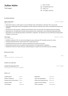 Trial Lawyer CV Example