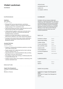 Distributor CV Template #12