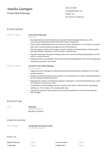 Product Brand Manager CV Template #3