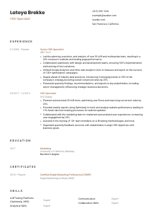 CRO Specialist CV Template #1