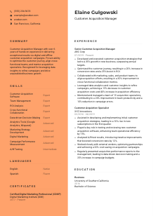 Customer Acquisition Manager CV Template #19