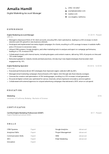Digital Marketing Account Manager Resume Example