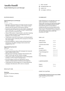 Digital Marketing Account Manager Resume Template #1