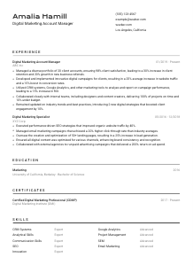 Digital Marketing Account Manager Resume Template #2