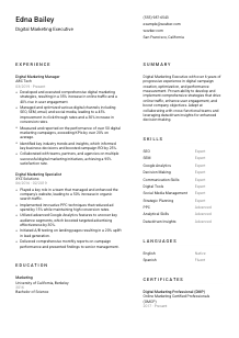 Digital Marketing Executive CV Template #1