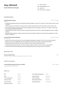 Digital Marketing Manager CV Example