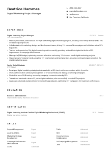 Digital Marketing Project Manager Resume Example