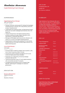 Digital Marketing Project Manager CV Template #3