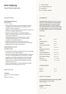 Digital Marketing Specialist CV Template #2