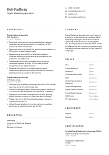 Digital Marketing Specialist CV Template #1
