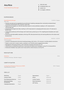 Email Marketing Manager CV Template #23