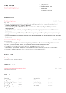 Email Marketing Manager CV Template #4