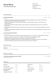 Email Marketing Manager CV Template #9
