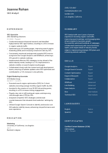 SEO Analyst CV Template #15