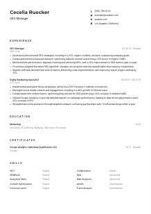 SEO Manager CV Example