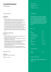 SEO Manager Resume Template #2
