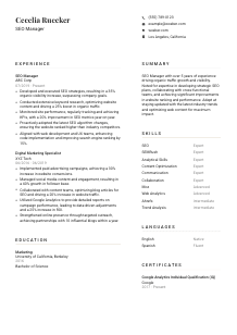 SEO Manager Resume Template #1
