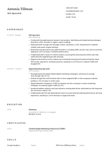 SEO Specialist CV Template #3