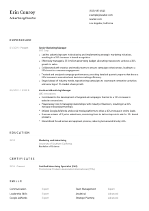 Advertising Director CV Template #1
