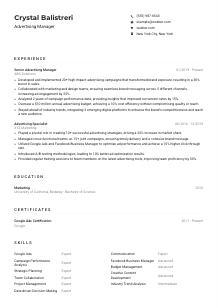 Advertising Manager CV Example