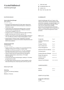Advertising Manager CV Template #7