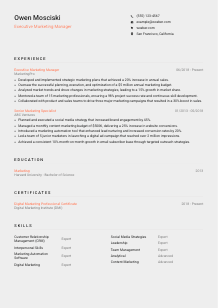 Executive Marketing Manager Resume Template #3